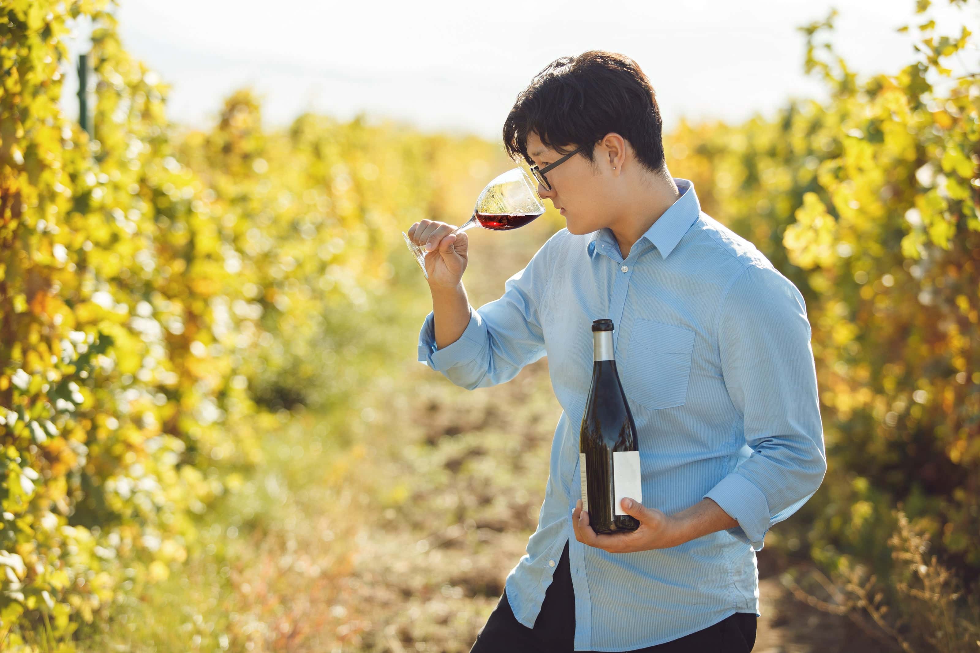 Man evaluating red wine aroma in vineyard during harvest season, holding a bottle of wine in one hand.