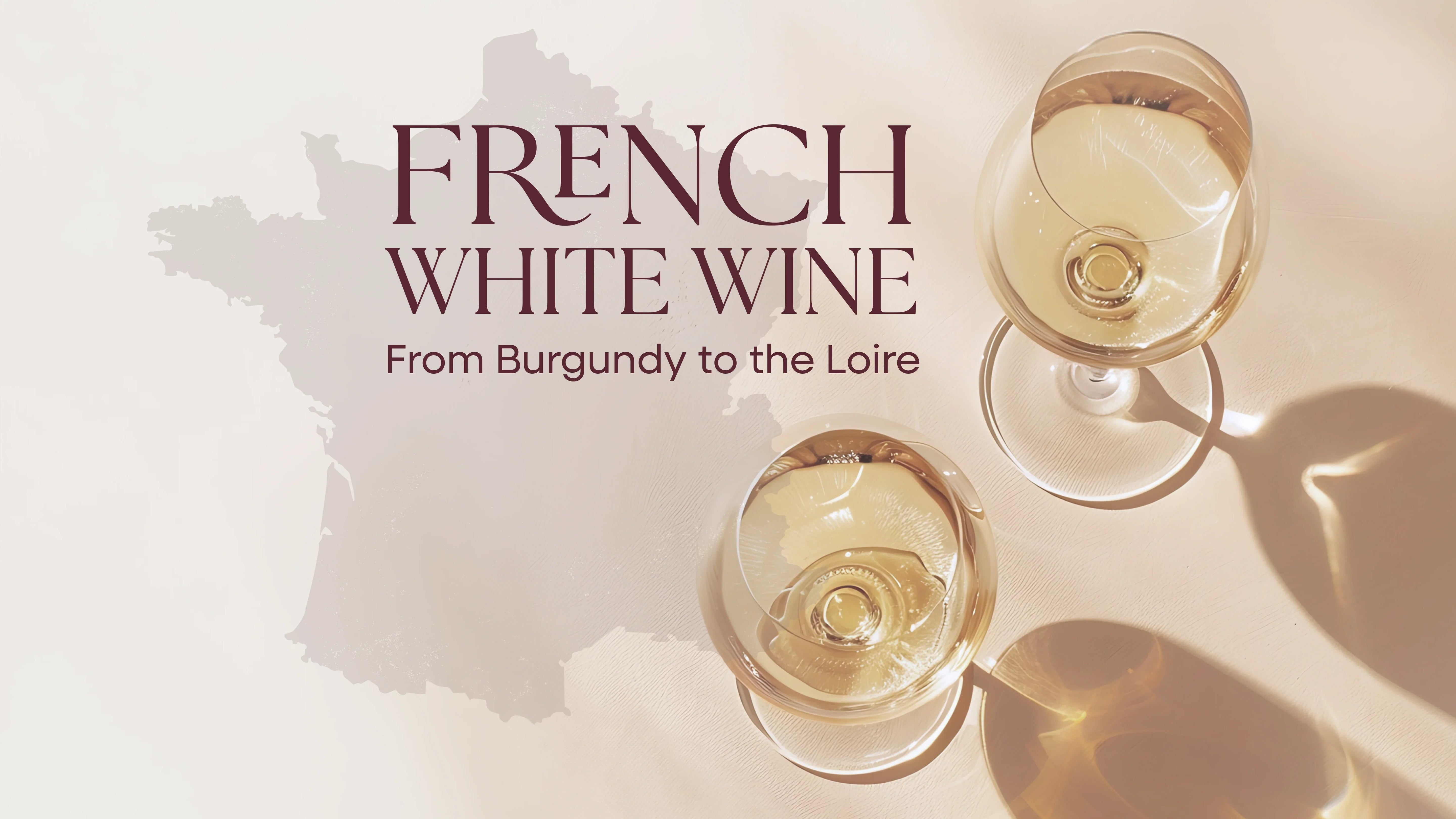 french white wines from burgundy to loire graphic